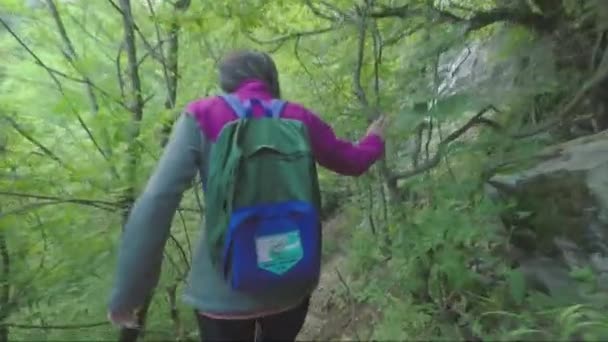 Junge Frau Beim Waldspaziergang Unter Dem Skaklya Wasserfall Der Nähe — Stockvideo