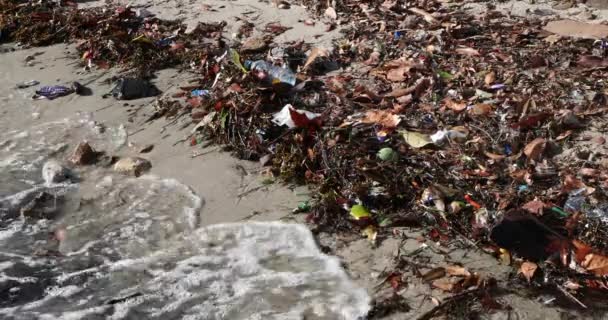 Primo Piano Dei Rifiuti Lavati Sulla Spiaggia Sydney — Video Stock