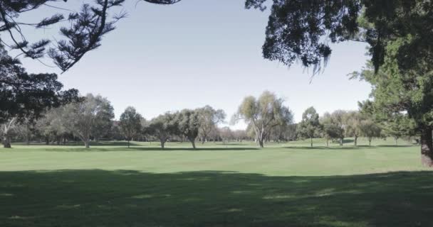 Ampia Ripresa Corso Oro Sydney Durante Giorno — Video Stock