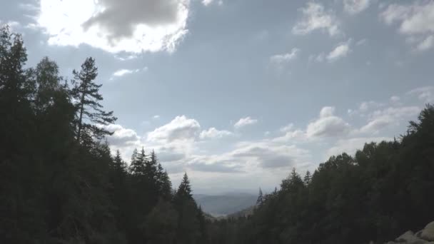 Skały Moraines Lub Kamiennej Rzece Naturalne Zjawisko Górach Witosza Bułgaria — Wideo stockowe