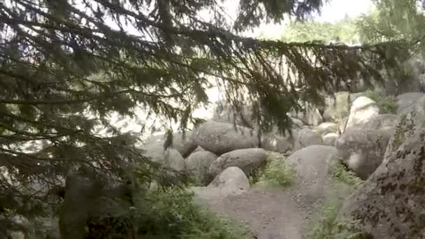 モアインズまたはストーン川の岩 ブルガリアのヴィトシャ山脈における自然現象 — ストック動画