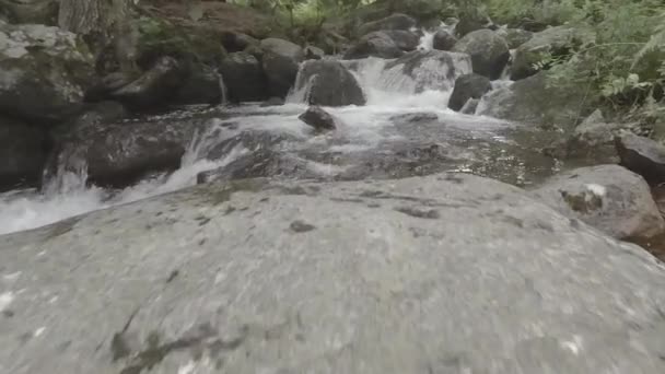 Ruscello Rallentatore Nel Bosco Rocce Fiume Morenes Stone Fenomeno Naturale — Video Stock