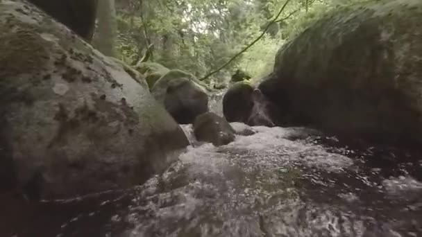 Slow motion stream in forrest.Rocks at The Moraines or Stone river. Natural phenomenon in Vitosha Mountains, Bulgaria.
