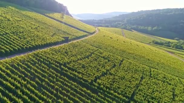 Vanuit Lucht Uitzicht Wijngaard Het Dal Remstal Duitsland Het Voorjaar — Stockvideo