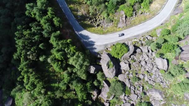 カーブの多い山道を曲がる車の空中映像 — ストック動画