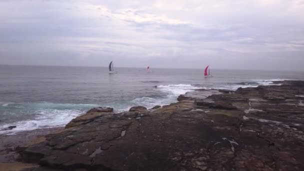 Luftbild Von Segelbooten Die Vor Der Küste Der Insel Segeln — Stockvideo