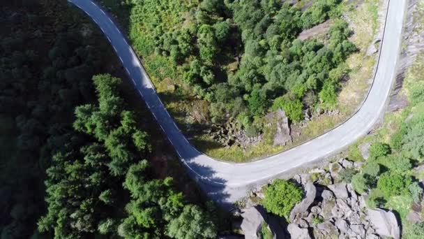 Luftaufnahmen Einer Spektakulären Kurvenreichen Bergstraße Jssingfjord Einem Fjord Der Gemeinde — Stockvideo