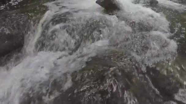 Slow Motion Stream Forrest Rocks Bij Moraines Stone River Natuurlijke — Stockvideo