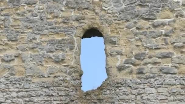 Збільшити Знімок Середньовічної Вежі Руїнах Блакитному Небі Трав Янистим Ґрунтом — стокове відео