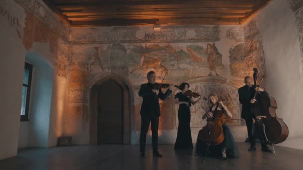 Quarteto Cordas Toca Música Uma Sala Medieval Como Panelas Câmera — Vídeo de Stock