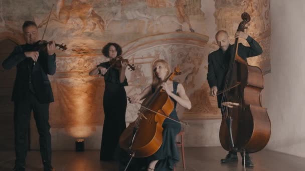 Plan Long Quatuor Cordes Jouant Dans Cadre Style Médiéval — Video