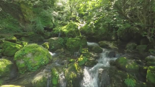Potok Forrestu Pod Vodopádem Skaklya Obce Bov Vazovovy Pěšiny Úžasná — Stock video