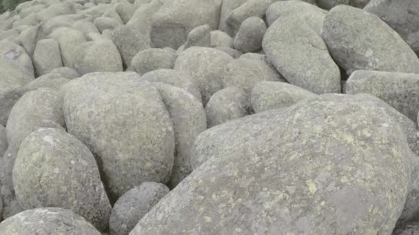 Rocas Río Moraines Stone Fenómeno Natural Las Montañas Vitosha Bulgaria — Vídeo de stock