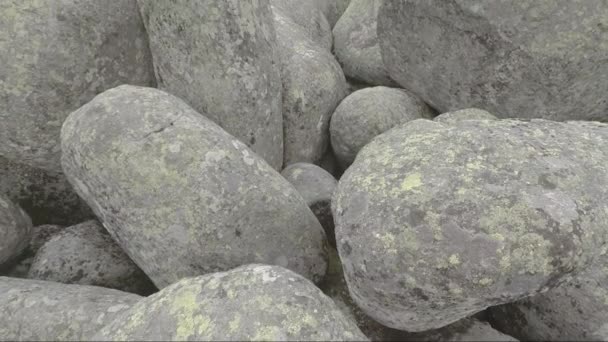 Rocas Río Moraines Stone Fenómeno Natural Las Montañas Vitosha Bulgaria — Vídeo de stock