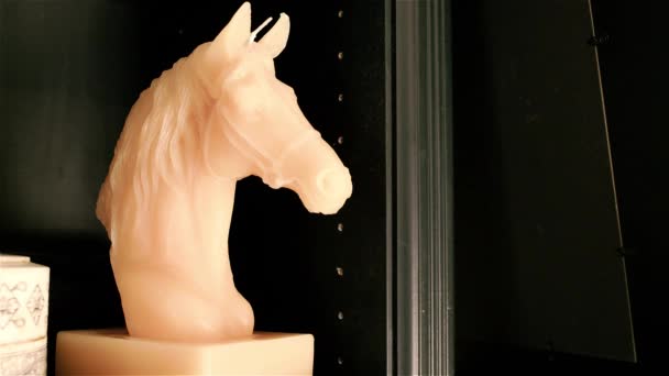 Filmación Horse Candle Dcor — Vídeos de Stock