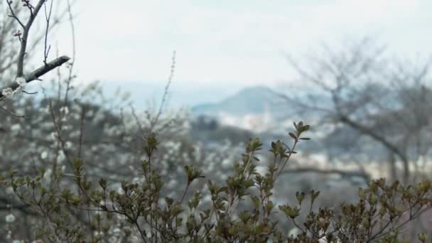 Skup Się Mieście Fukashima Widokiem Góry 50P — Wideo stockowe