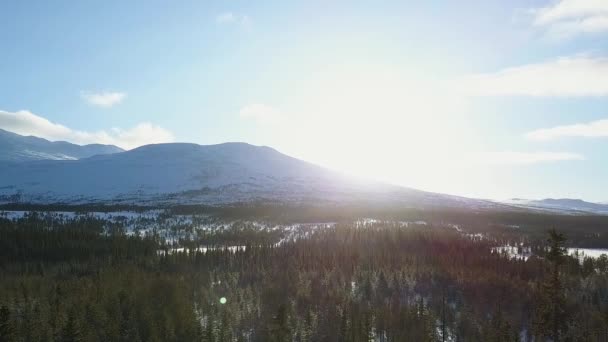 Lentamente Perlustrando Paesaggio Invernale — Video Stock