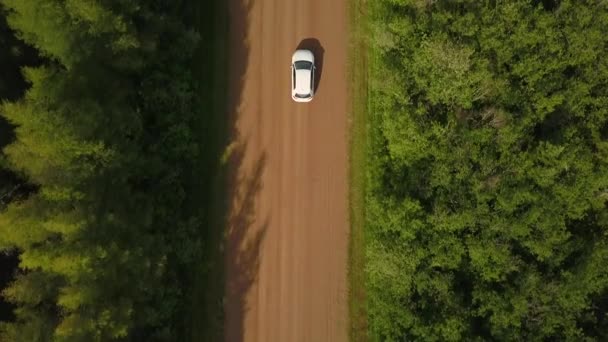 Luftaufnahme Eines Weißen Autos Das Auf Einer Unbefestigten Straße Fährt — Stockvideo