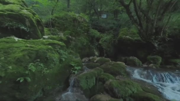 Strumień Forreście Pod Wodospadem Skaklya Pobliżu Miejscowości Bov Vazov Footpath — Wideo stockowe