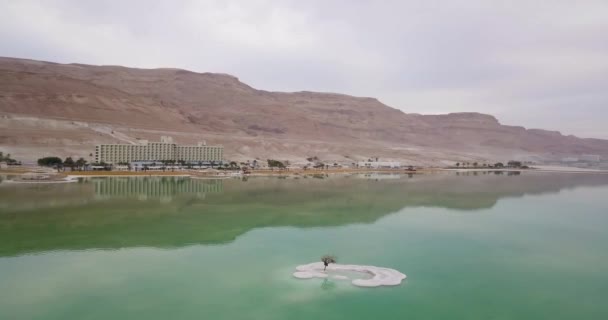 砂漠の風景と塩の形成に関する唯一の木を明らかに死海のパノラマビュー — ストック動画