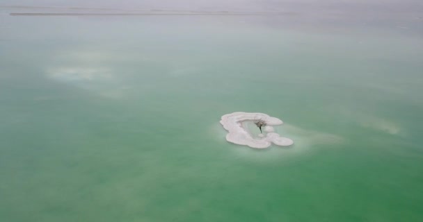 Strzał Drona Lotniczego Krążącego Nad Samotnym Drzewem Formacji Soli Morzu — Wideo stockowe