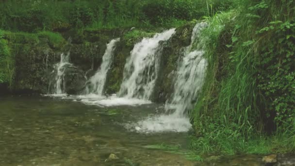 Pequeño Vertedero Hecho Por Hombre Bosque Creando Una Piscina Idílica — Vídeo de stock