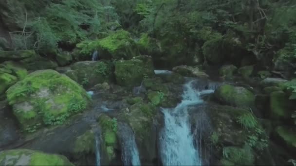 Forrest Sotto Skaklya Cascata Vicino Villaggio Sentiero Bov Vazov Natura — Video Stock