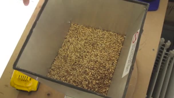 Images Broyage Des Grains — Video