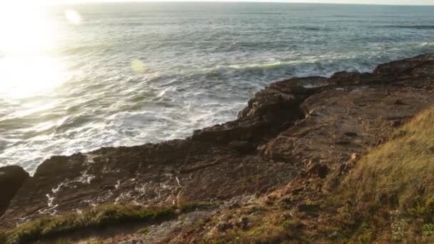 Paysage Vagues Brisant Sur Une Plage Côtière — Video