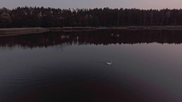 ドローン日没湖の映像 — ストック動画
