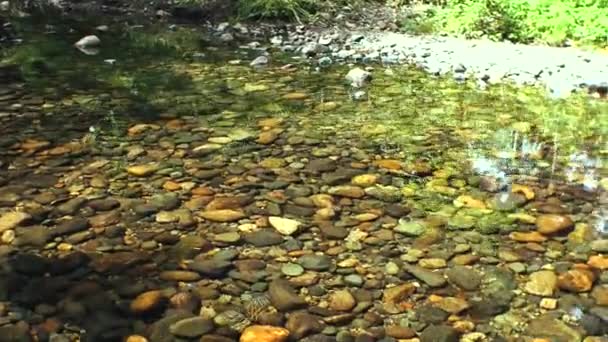 Een Schot Stenen Onder Water Een Beekje Bij Het Spoor — Stockvideo