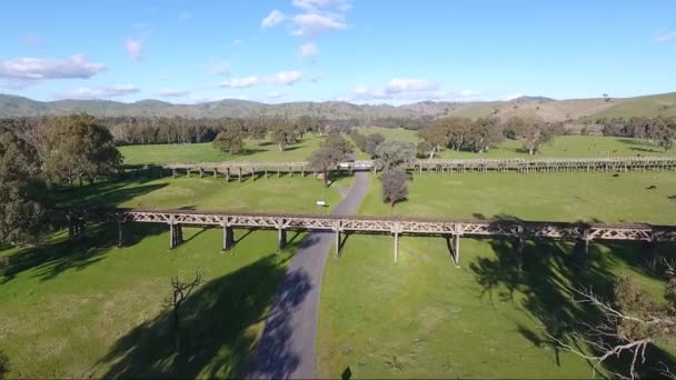 Flygbilder Flodslätter Och Historiska Broar Gundagai Nsw — Stockvideo