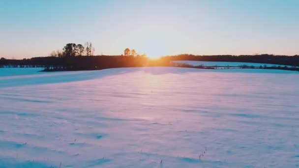 Drone Snowy Field Flyover — Stockvideo