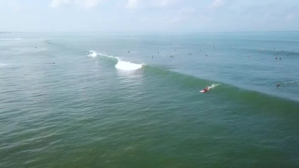Повітряні Кадри Серферів Їздять Ловлять Хвилі — стокове відео