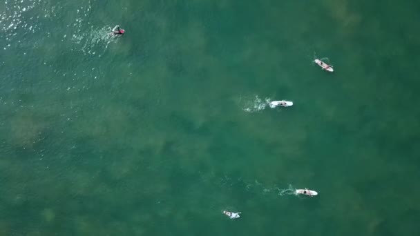 Images Aériennes Surfeurs Chevauchant Attrapant Des Vagues — Video