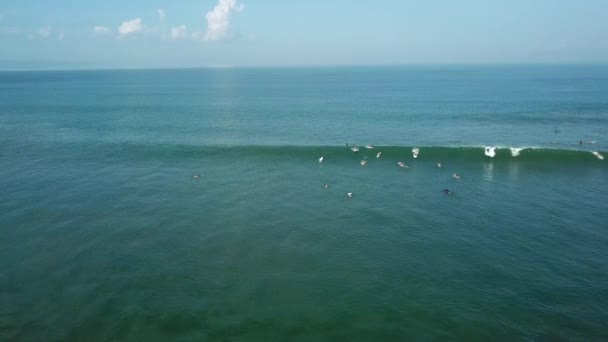 Imágenes Aéreas Surfistas Montando Cogiendo Olas — Vídeos de Stock