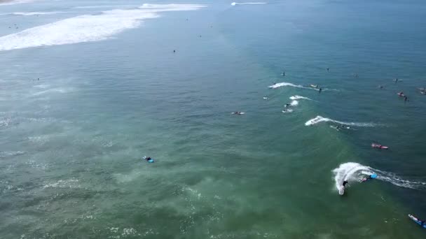 Dalgalara Binen Yakalayan Sörfçülerin Hava Görüntüleri — Stok video