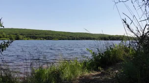 Σταθερή Βολή Μιας Λίμνης Από Την Όχθη — Αρχείο Βίντεο
