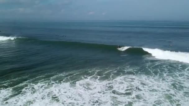 Dalgalara Binen Yakalayan Sörfçülerin Hava Görüntüleri — Stok video