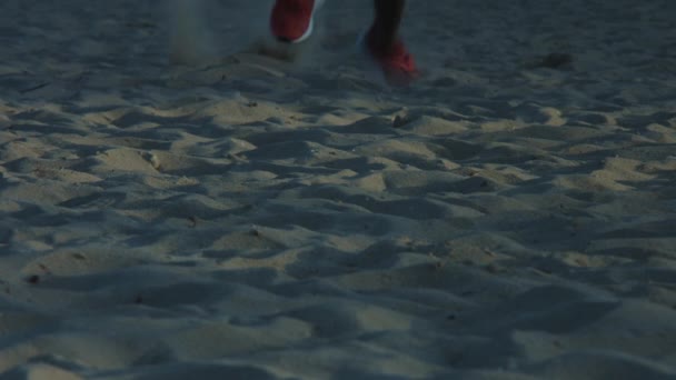 Lopen Door Het Zand — Stockvideo