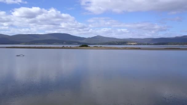 Bajo Drone Pan Sobre Isla Remota Medio Calma Del Agua — Vídeos de Stock