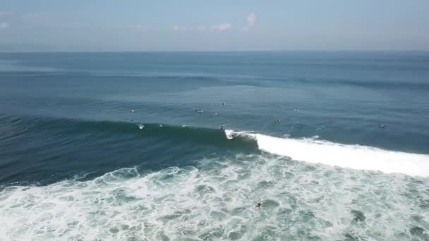 Imágenes Aéreas Surfistas Montando Cogiendo Olas — Vídeos de Stock