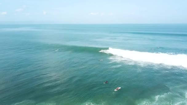 Imágenes Aéreas Surfistas Montando Cogiendo Olas — Vídeos de Stock