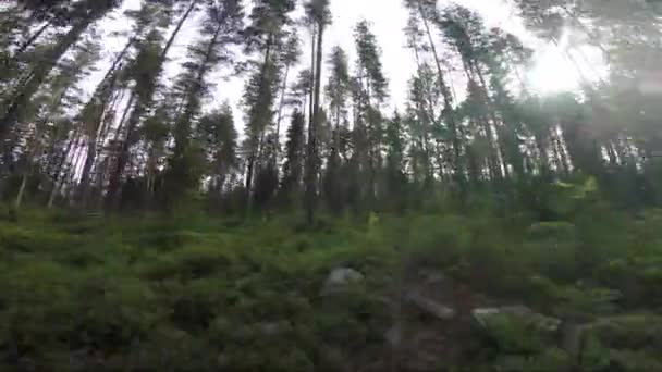 Mini Quad Racing Drone Vista Primera Persona Bosque — Vídeo de stock