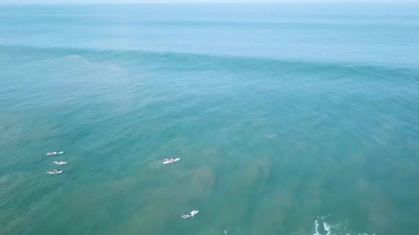 Images Aériennes Surfeurs Chevauchant Attrapant Des Vagues — Video