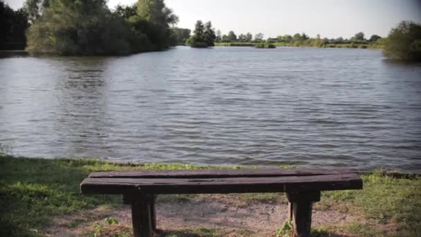 Banc Face Petit Lac Dans Nature — Video