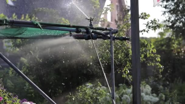 Wassersprenger Der Pflanzen Sommer Mit Wasser Besprengt — Stockvideo