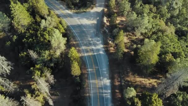 カービー山道を走行する車の空中ドローンビュー — ストック動画