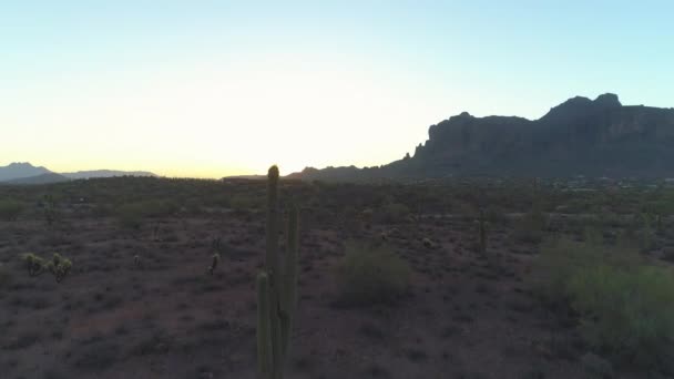 Antena Deserto Sonoro Icônico Arizona Com Cacto Saguaro Durante Crepúsculo — Vídeo de Stock