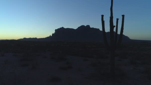 Dolly Icónica Silueta Cactus Sonoran Saguaro Durante Crepúsculo — Vídeo de stock